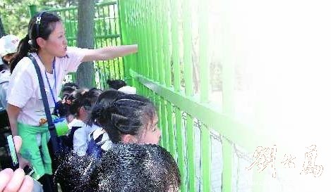 台湾梅花鹿长鬃山羊与游客见面