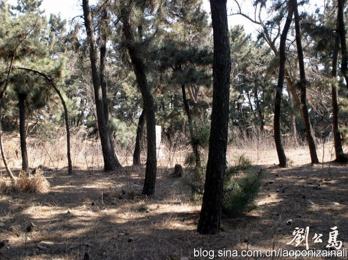 摩天岭炮台新照